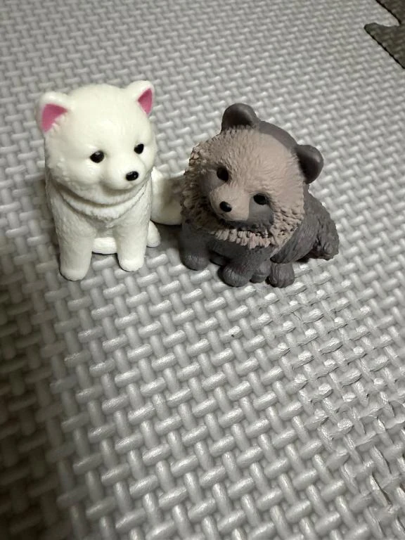 おはにゃー‼️🐱