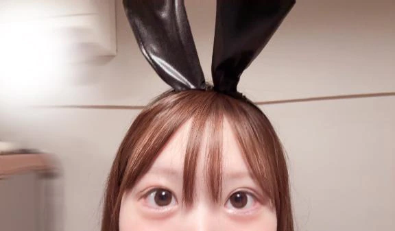 🐰