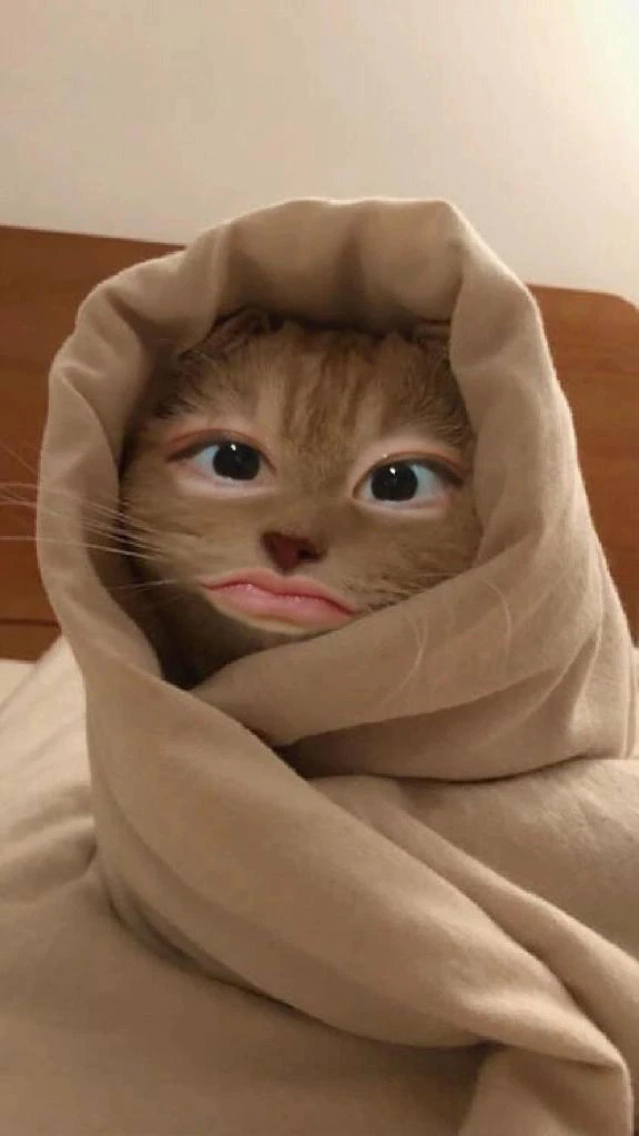 告知忘れた😭