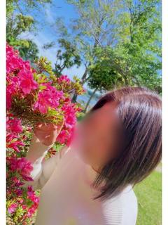 葉月 海羽