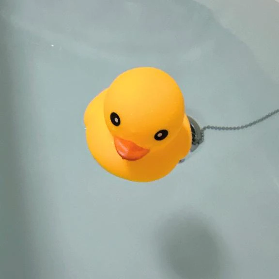 ぷかぷか🐥🫧