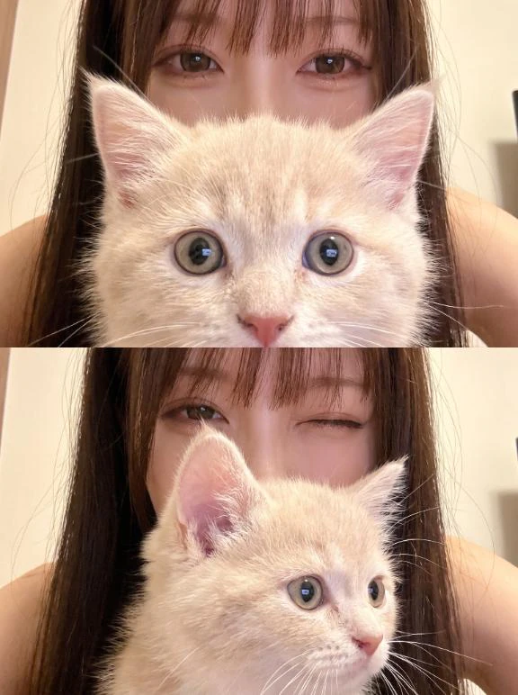少しでも。。