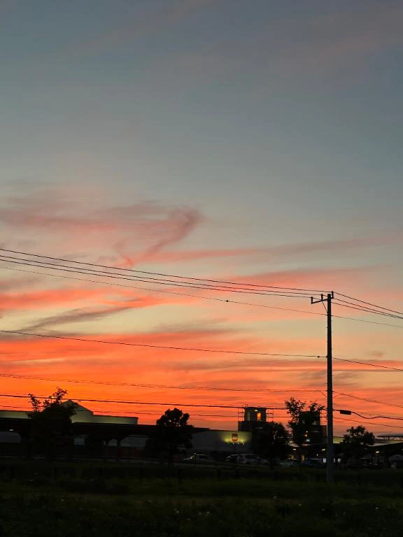 お礼🧡