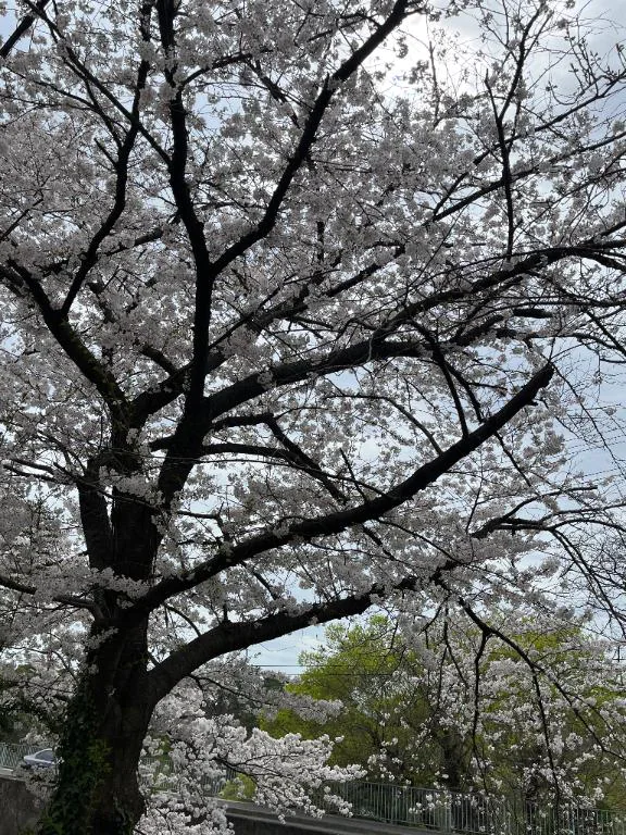お礼🩷