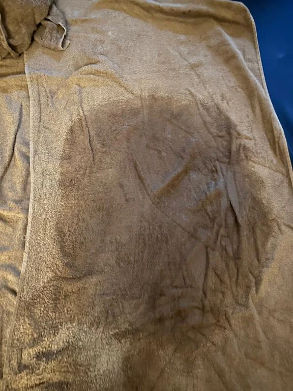最大級⁉️