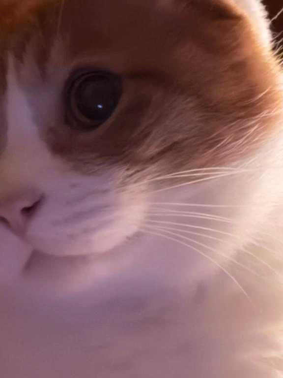 久しぶりの出勤♡♡