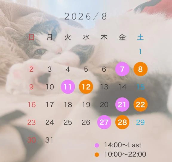 8月の予定😼♥️