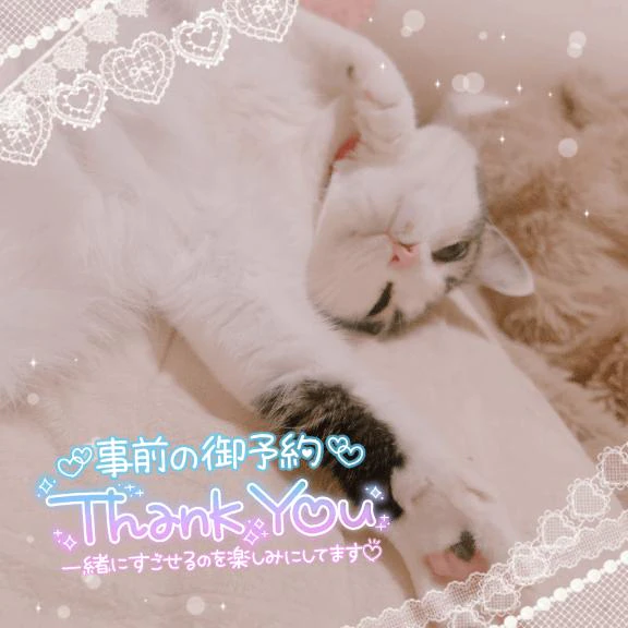 来週いっぱい居ます😽💖
