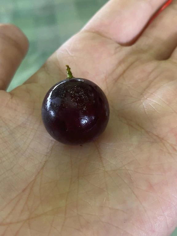 申し訳ないです…