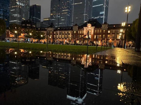 雨の日しか😽