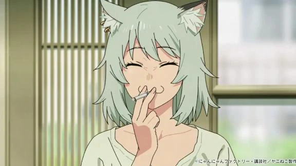 います✨️