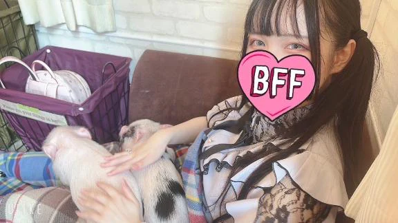 豚ちゃん🐷