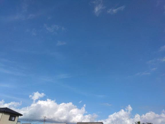ありがとう💕