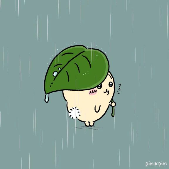 雨ですが