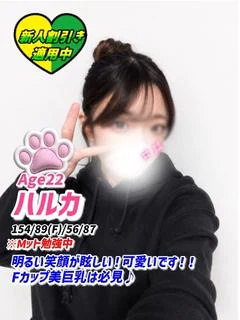 ハルカ