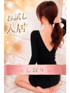 しおり