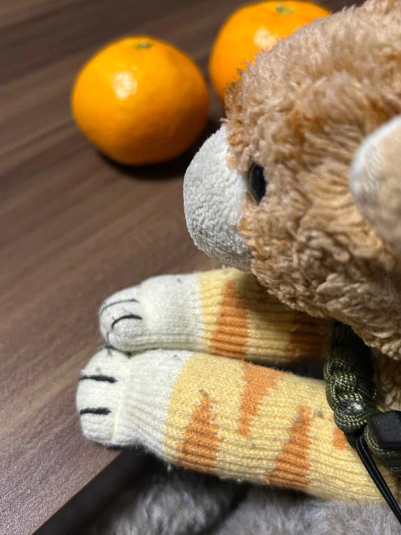 [お題]from:猫動画に連打さん