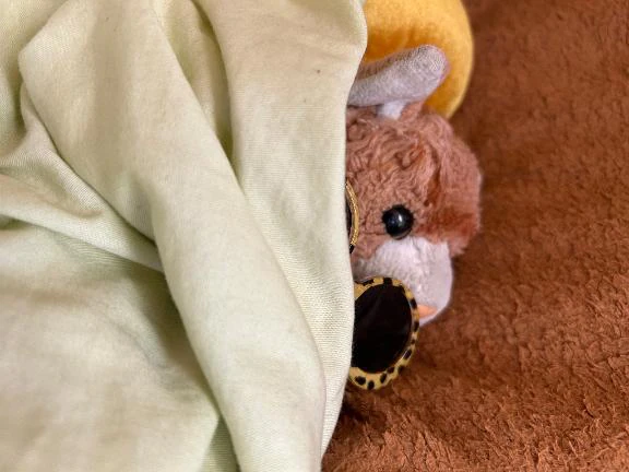 帰ってきたきなこさん🐾