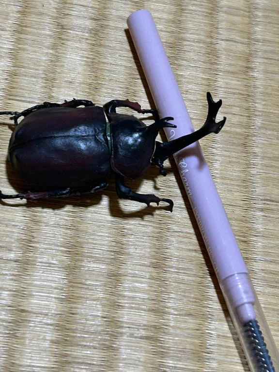 [お題]from:昆布豆太郎さん