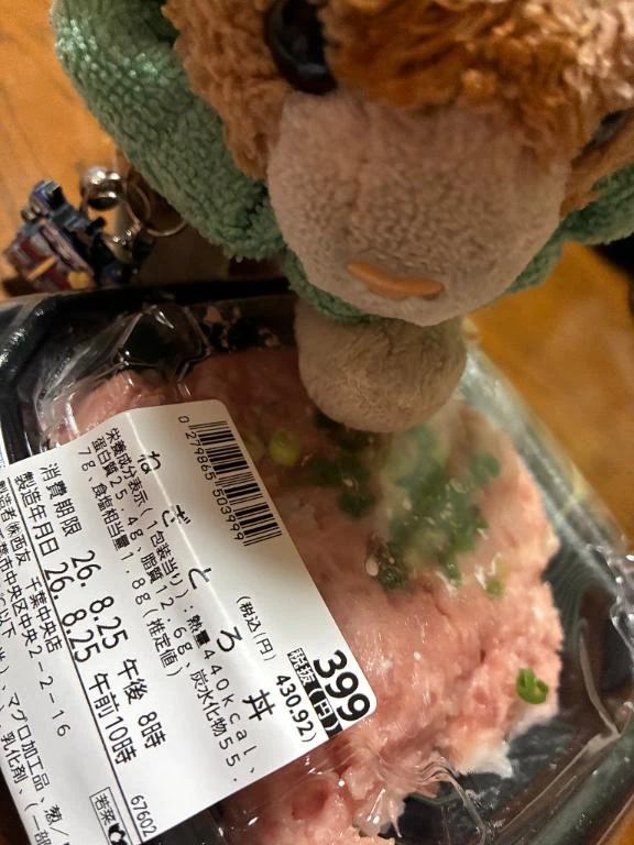 到着🐾