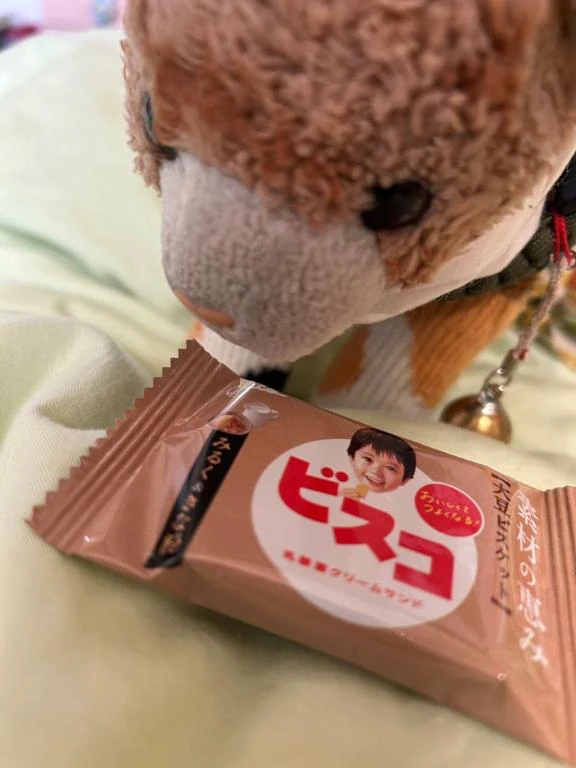 [お題]from:ポッキーさん