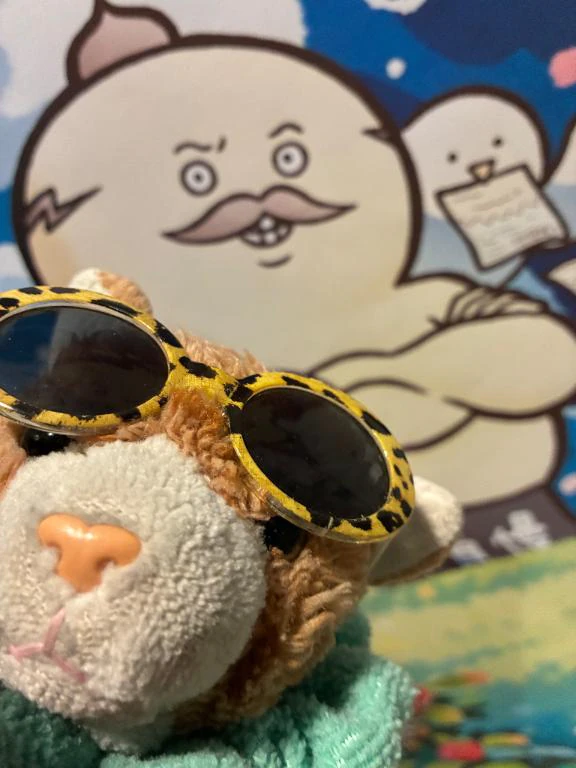 今回は