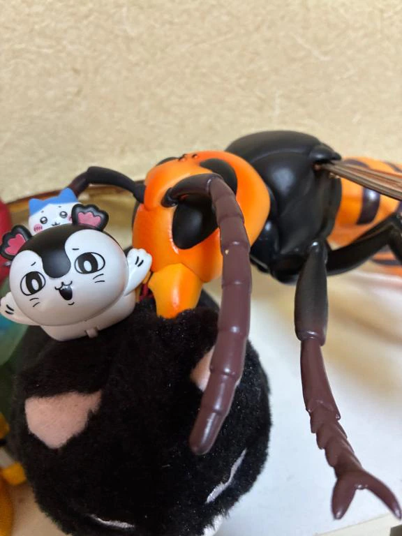 到着🐾