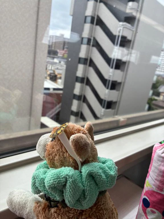 電車旅withきなこ🐾
