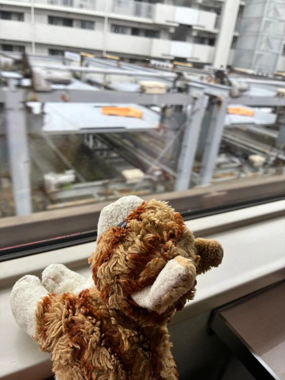 到着🐾