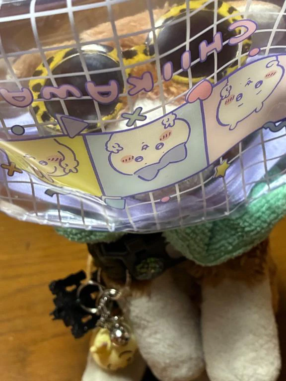 到着🐾