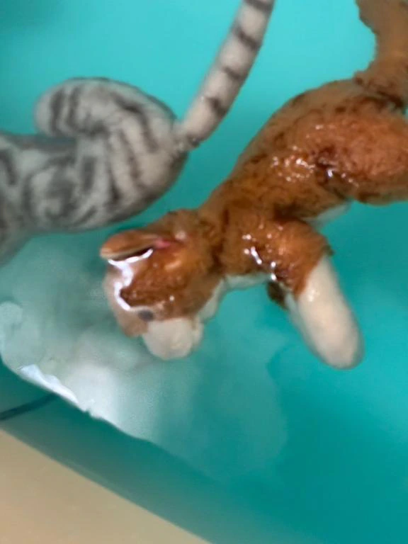 到着🐾