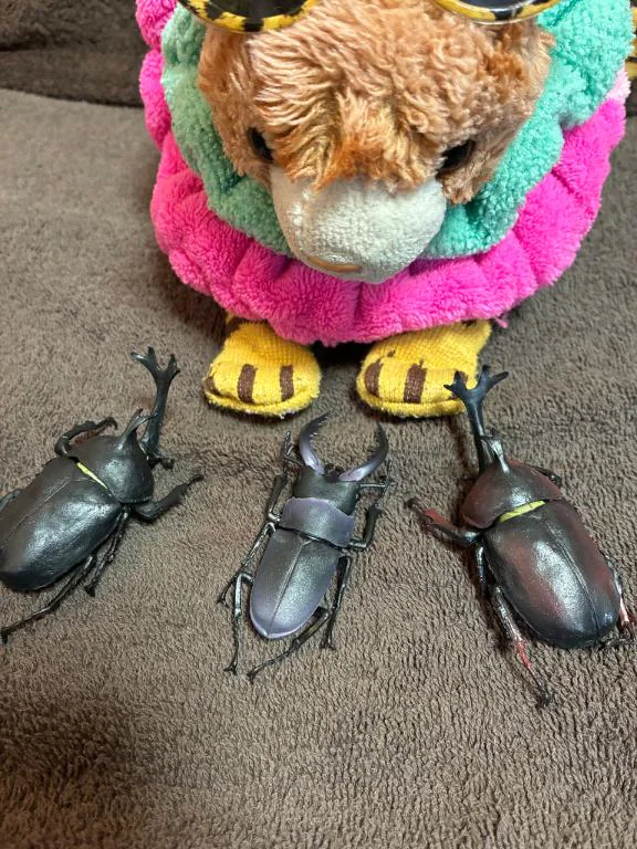 出勤してます🐾