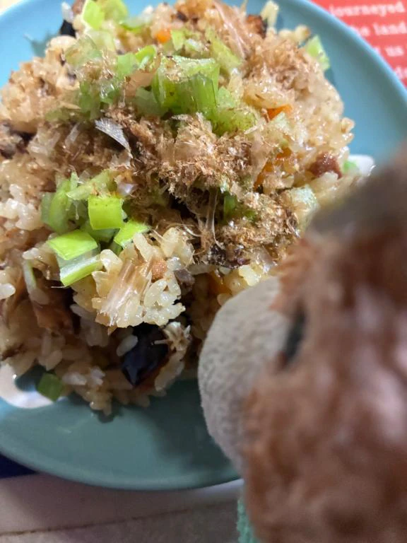 昨日のサバ缶