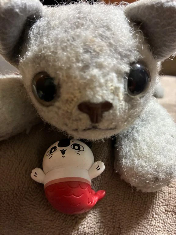 到着🐾