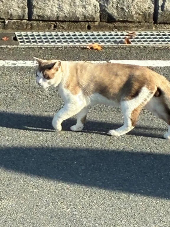 われは