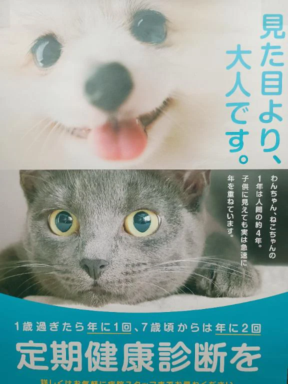 休暇中です😊