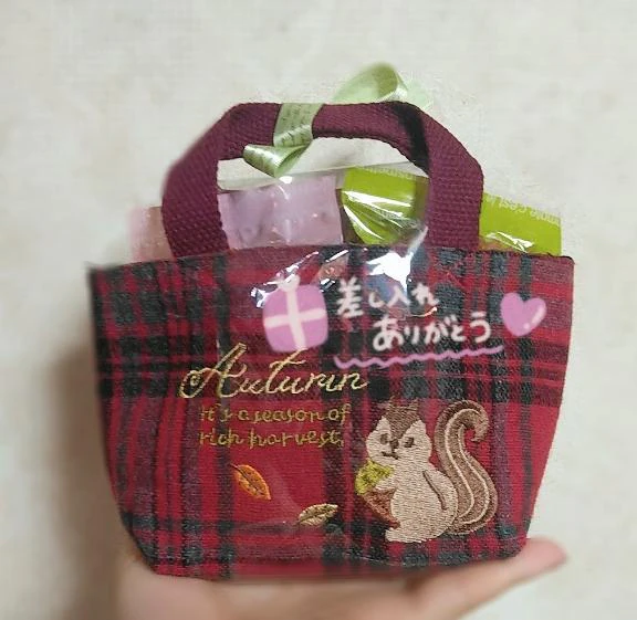かわいい！🐿🎵