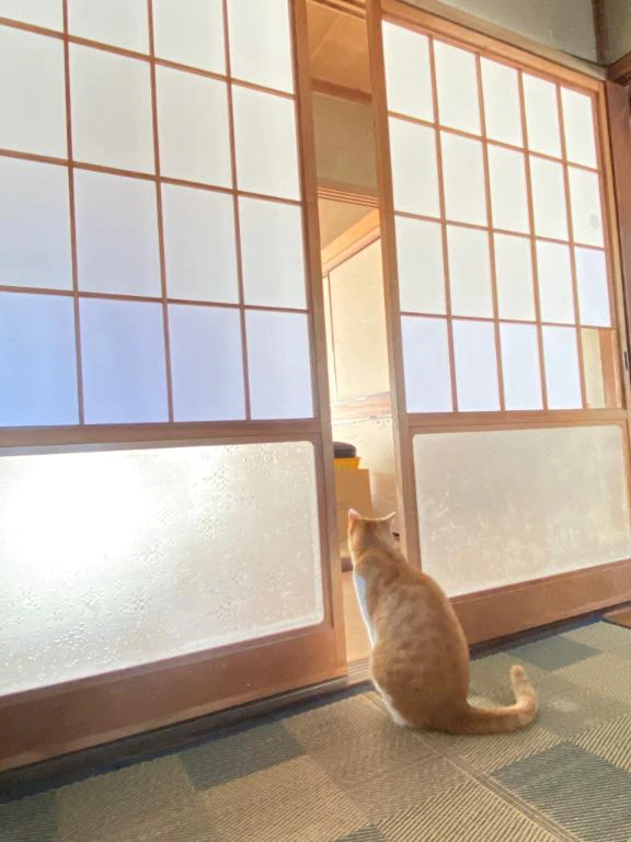 [お題]from:もう寝れないさん