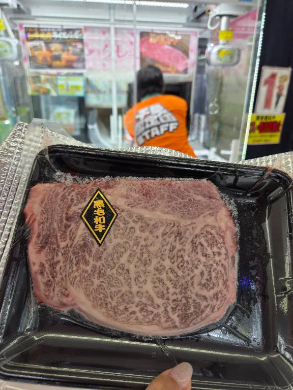 お休みやさい🌽