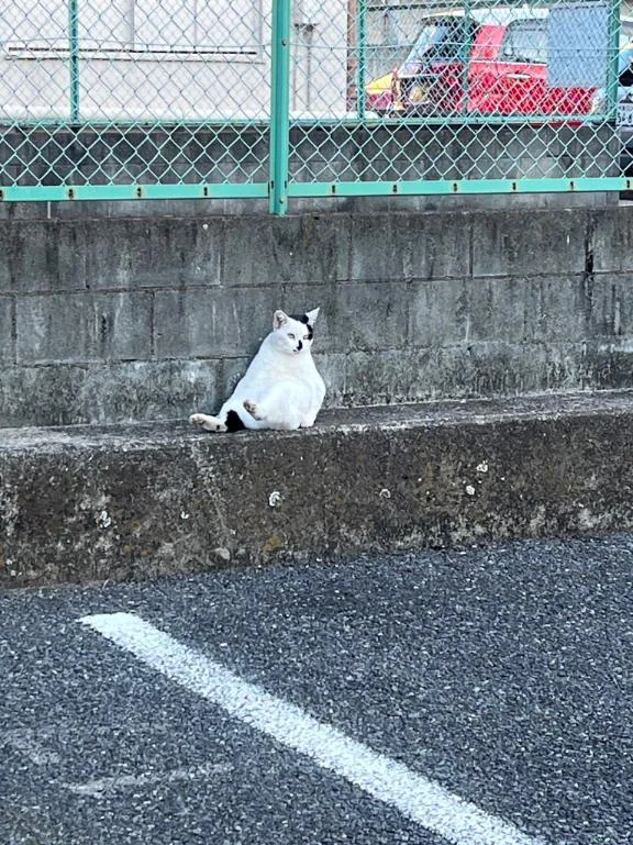 出勤です