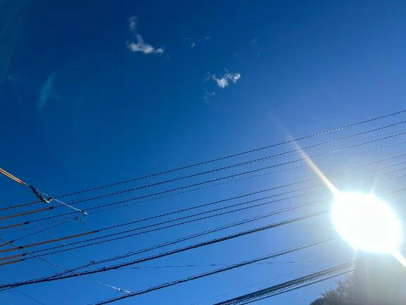 今日から！！！
