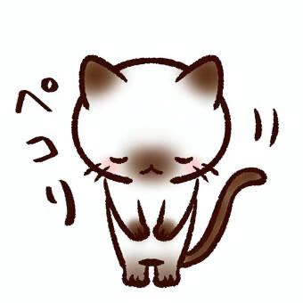 お休みします🥲‎🥲‎🥲‎