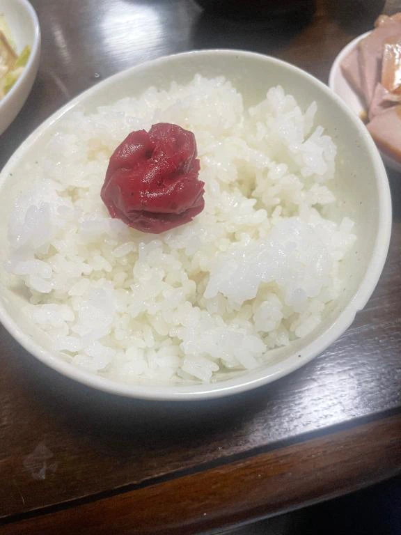 これ一択🦩
