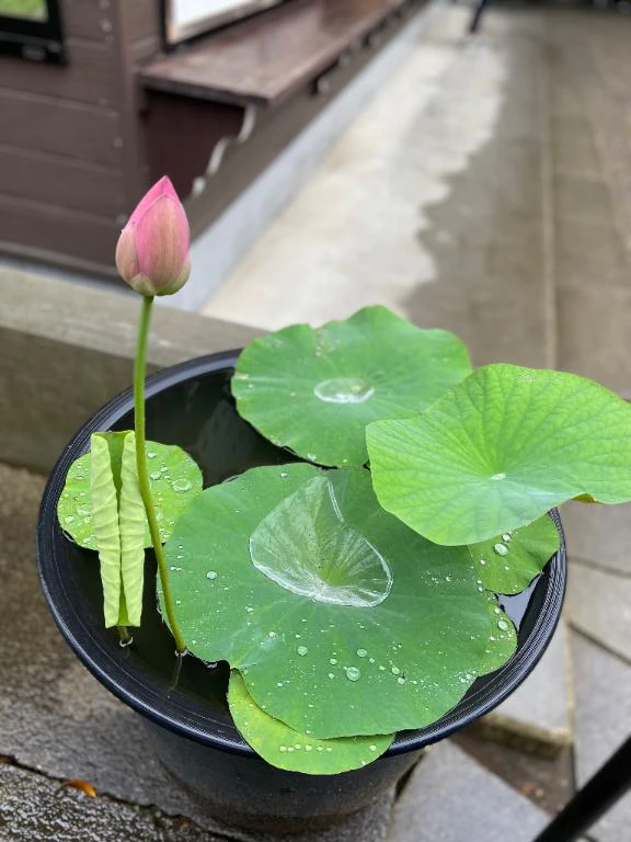 ごめんなさい😢