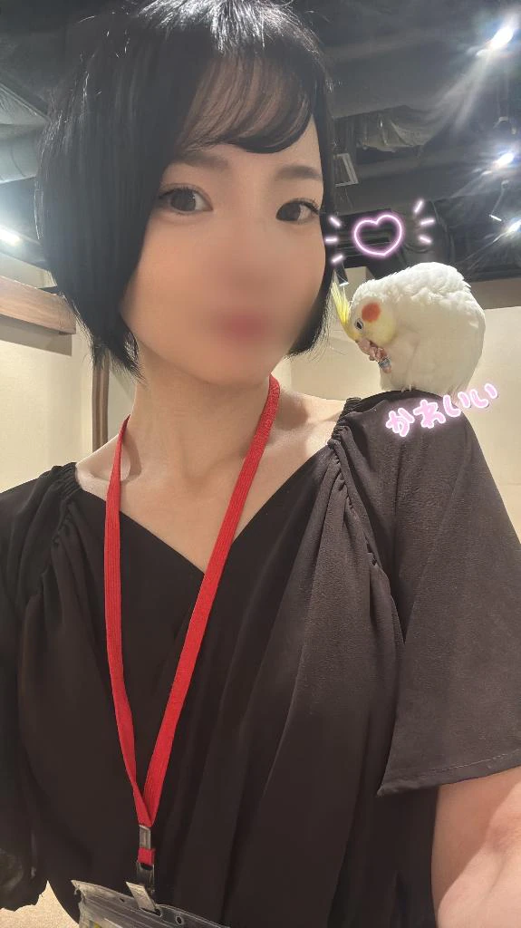 大好きなオカメインコ🐥