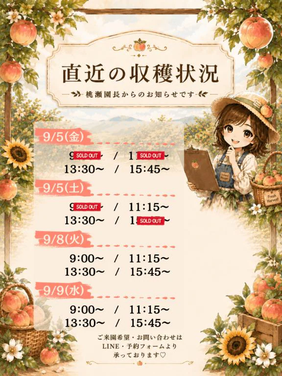 🍑直近の収穫状況＆桃約束🗓️🌻
