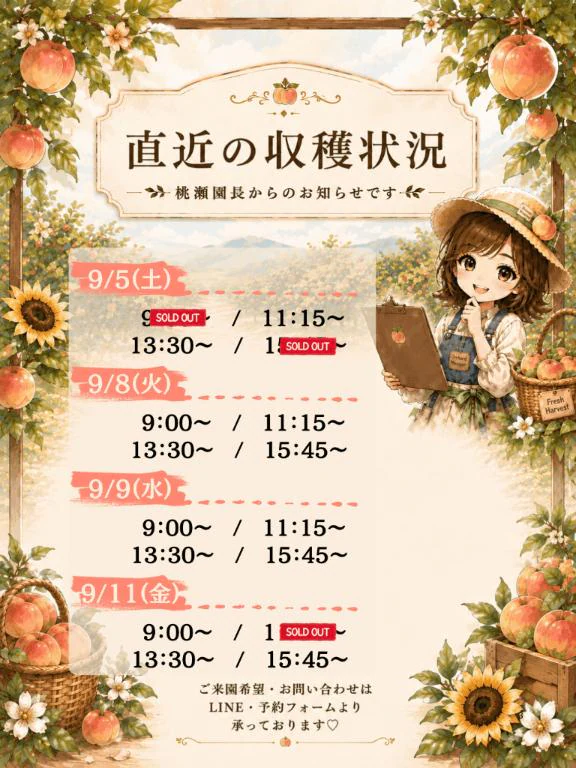 🍑直近の収穫状況＆桃約束🗓️🌻