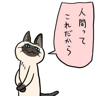 つい…