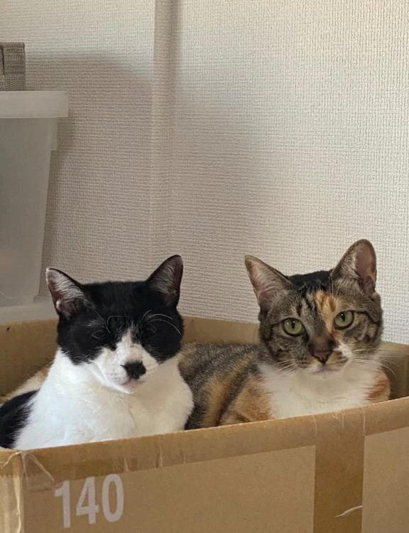 今日はお家で🏠