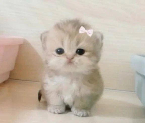 今日から〜